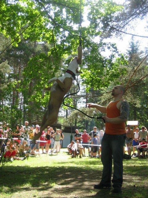 APBT (56)
