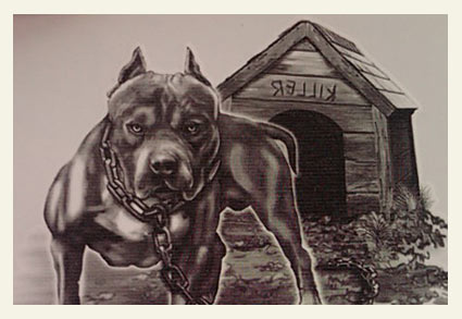 pitbull art 6