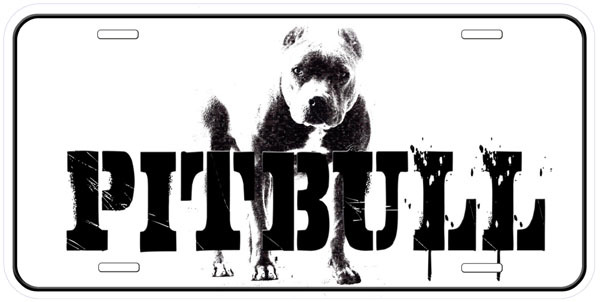 pitbull art